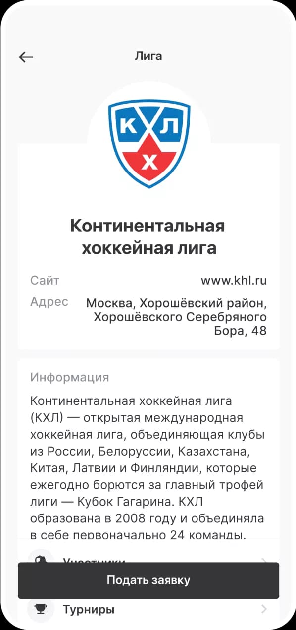 Go Hockey! — скриншот 2